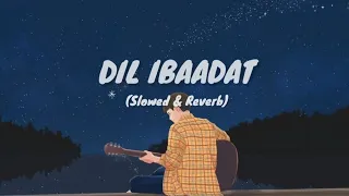 DIL IBAADAT Slowed + Reverb