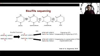 STAT115 Chapter 12.4 Techniques to Measure DNA Methylation