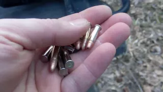 CCI STINGER VS CCI MINI MAG 100 YARDS