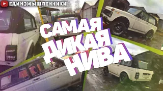 Самая ДИКАЯ НИВА...