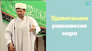 Удивительное равновесие мира