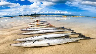 Fishing Sa Malawak Na Hibasan❗Light Tackle - Shore Casting