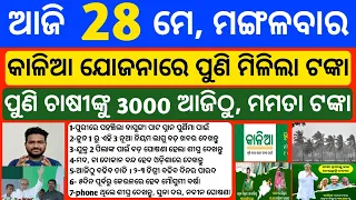 Odisha News | 28 May 2024 | Today Morning news | kalia yojana money | Upstox app earn money offer