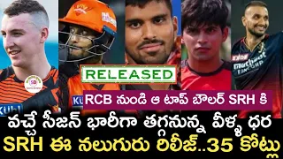 IPL 2024  sunrisers hyderabad players released list analysis | IPL 2024 sunrisers hyderabad player |