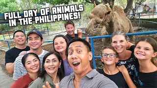 Epic Animal Day in the Philippines with South African Family ft. @dingodinkelman | Vlog #1733