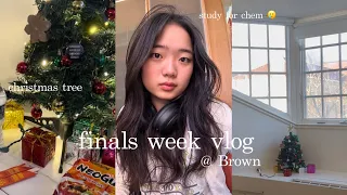 finals week @ brown university vlog: cafe hopping, study grind, cooking w/ friends 📚🍵💌