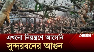 তিন দিনেও পুরোপুরি নিয়ন্ত্রণে আসেনি সুন্দরবনের আগুন | Sundarbans | Desh TV