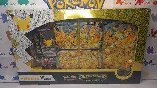 Pikachu v-union celebrations special collection