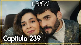 Hercai - Capítulo 239