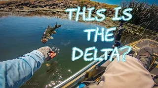 Day 2 On The California Delta | Kayak Bass Fishing With a Subscriber