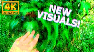 NEW! Magic/psilocybin mushroom Visuals (4k simulation)