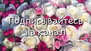 Принимаю песня на заказ 💞 89891707344💞прошу проста так не беспокоить толька на заказ 💞 прошу