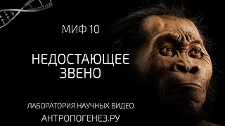 Недостающее Звено. Мифы об эволюции человека.