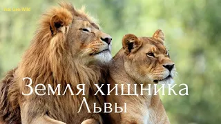 Nat Geo Wild.Земля хищника.Львы.