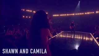 Shawn Mendes and Camila Cabello