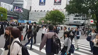 The famous Shibuya crossing - 90 seconds Shahid Bashir Billabong