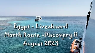Egypt - Liveaboard - North Route - Discovery II - August 2023 - Scuba Diving