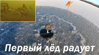 ПЕРВЫЙ ЛЁД РАДУЕТ КЛЁВОМ / THE FIRST ICE PLEASES COOL