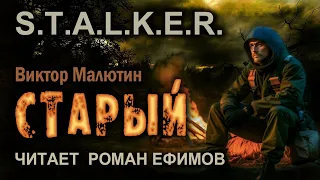 S.T.A.L.K.E.R. Старый (аудиокнига). БОЕВАЯ ФАНТАСТИКА. Виктор Малютин. Читает Роман Ефимов.