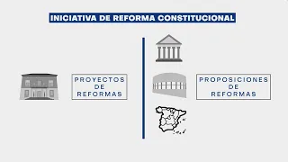 La reforma constitucional (artículo 167)