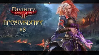 Прохождение Divinity original sin 2 #8