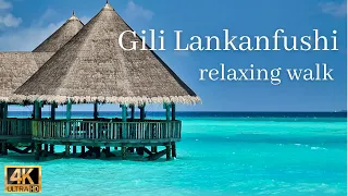 モルディブ散歩@ギリランカンフシ 波音＆リラクゼーション ジャズBGM｜Maldives walk at Gili Lankanfushi with relaxing jazz