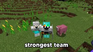 The strongest team on LifeSteal SMP