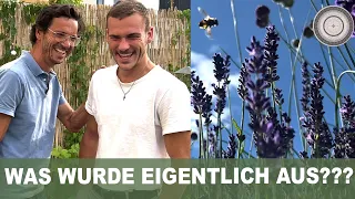 WAS WURDE AUS ????? Wie entwickelt sich Nils kleiner Stadtgarten, der Dachgarten, der Vorgarten??