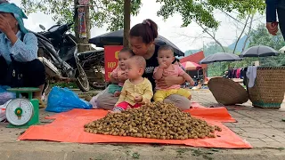 Single mom - Harvesting peanuts to sell at the market to raise 3 small children, life is difficult