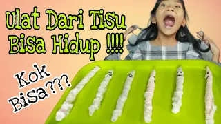 Cara Mudah Membuat Ulat Dari Tisu  || Ulat Unik Dari Tisu || Ulat Tisu Bisa Hidup