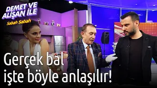 Demet ve Alişan ile Sabah Sabah | Gerçek Bal İşte Böyle Anlaşılır