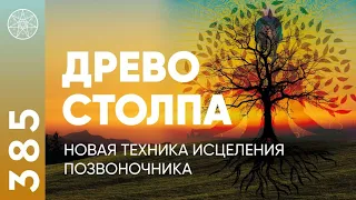 #385 Древо Столпа - новая техника исцеления позвоночника. Как убрать боли в спине? Коррекция атланта