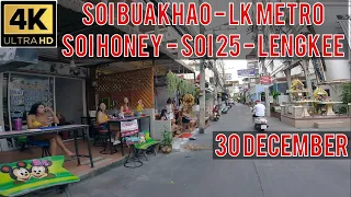 Pattaya Soi Buakha LK Metro Soi Honey Soi 25 Soi Lengkee Tree Town Soi 9 Soi New Plaza Thailand
