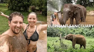 Elephant Jungle Sanctuary Chiang Mai - Mud bath & making medicine balls