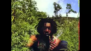 Peter Tosh - Igziabeher (Let jah be praised)