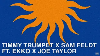 Timmy Trumpet x Sam Feldt ft. EKKO & Joe Taylor - Sun Comes Up (Extended Mix)