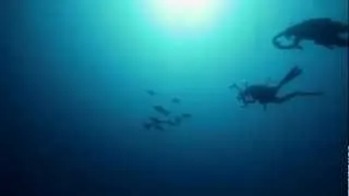 GALAPAGOS UNDERWATER 2012 [HD]