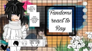 Fandoms react to Ray || {2|5} || Okie☻Dokie || Gacha club || ~