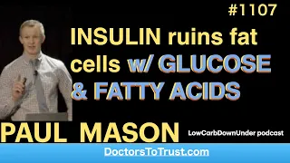 PAUL MASON a: |  INSULIN ruins fat cells w/ GLUCOSE & FATTY ACIDS
