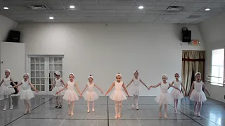 The Little Swans / Swan Lake Ballet / kids, Танец Маленьких Лебедей / American Russian Ballet school