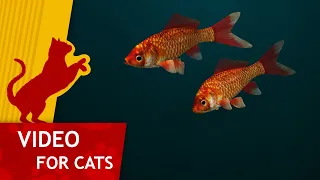 🐈 Cat Games - 🐟 Get That Red Fish (Video for Cats to watch) 60FPS