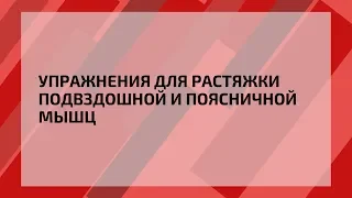 Упражнения для растяжки подвздошной и поясничной мышц