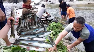 Duwali fishing in Nepal /himalayan trout/ Asala machha/Khotang #fishingNepal