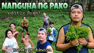 NANGUHA NG PAKO SA BUKID (edible fern) | Buhay Probinsya | #JosephBantula