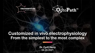 Webinar - Customized in vivo electrophysiology: from the simplest to the most complex