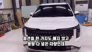 카니발 하이브리드 구매 전에 한번쯤 보면 좋은 영상. 옵션 구성을 실물로