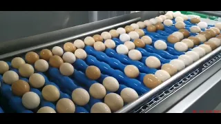 egg cleaning machine to wash eggs