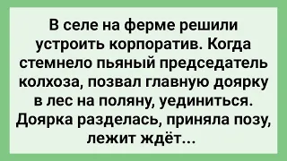 Председатель Позвал Доярку на Поляну Уединиться! Сборник Свежих Смешных Жизненных Анекдотов!