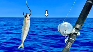 Fishing Reefs 90' DEEP in the GULF of MEXICO and Caught THIS...[Amazing Results]