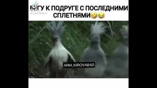 Марина! Марина! Что случилось???